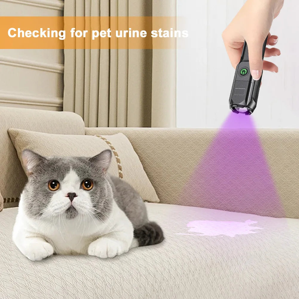 UV flashlight illuminating surface to detect stains or markings