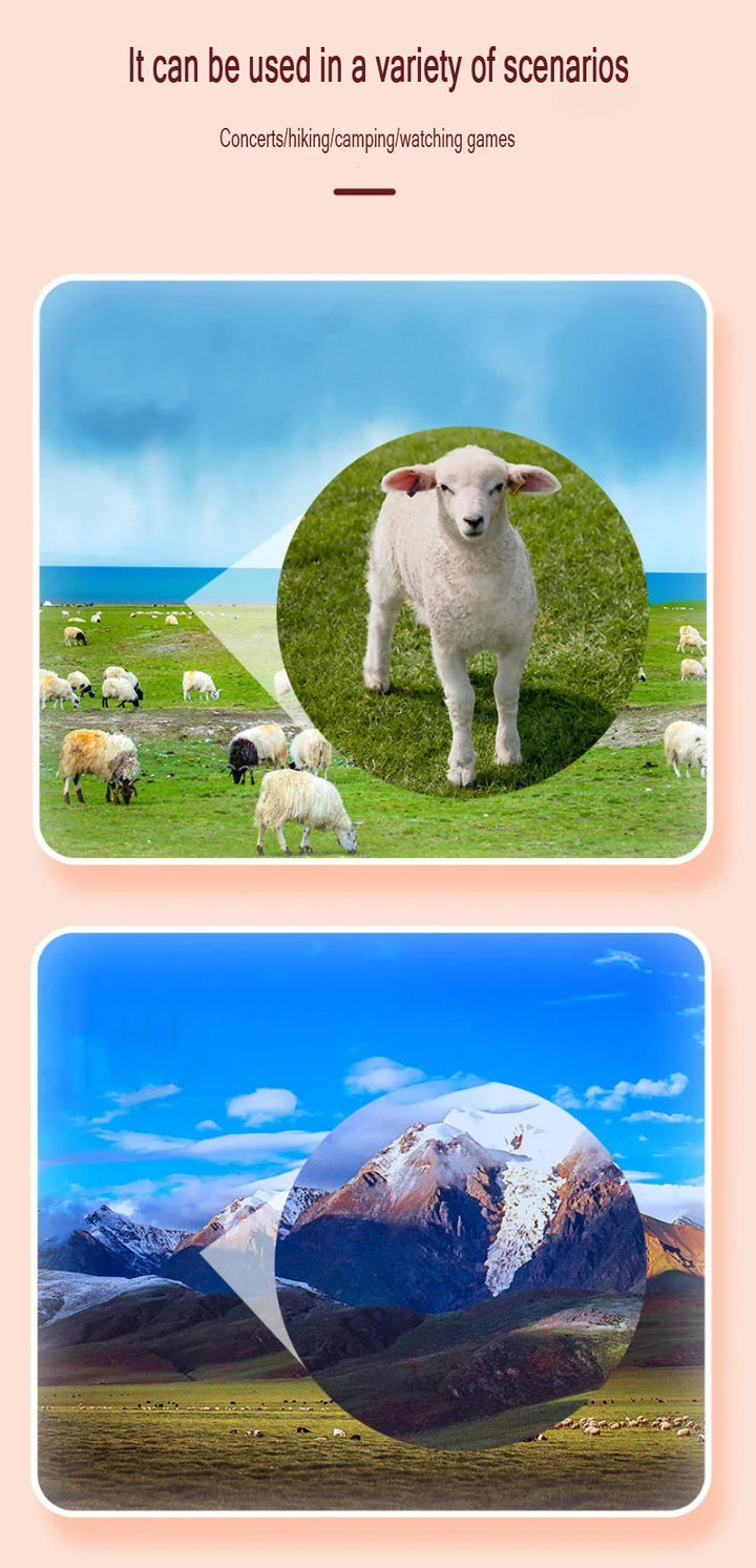 Sheep in a field with scenic background